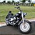 Sissy Bar Fixo Baixo para SOFTAIL (Fat Bob 2018 acima) Harley-Davidson - Imagem 2