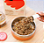 Zeedog Kitchen - Cães idosos Refeição Natural - Baixo Fosforo 400g - Imagem 4