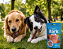 Snack Bark Maçã, Cenoura e Linhaça para Cães - 60 gramas - Imagem 1