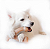 Benebone Wishbone Amendoim - Imagem 3