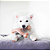 Benebone Wishbone Amendoim - Imagem 4