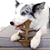 Benebone Fishbone Peixe - Imagem 3