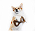 Benebone Dental Chew Amendoim - Imagem 3