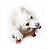 Benebone Maplestick - Imagem 4