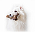Benebone Stick Bacon - Imagem 4
