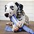 Kong Signature Crunch Rope Duplo Puppy Md/Lg - Imagem 3