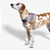 Peitoral Zeedog para Cachorros FlyHarness ACG Size 3 - Imagem 5