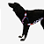 Peitoral Zeedog para cachorros Antipuxão Genie - Imagem 2