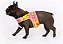 Kit Peitoral Colete Califórnia Pink Inverse + Guia Pink e Amarelo - Allure Pets - Imagem 3