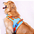 Kit Peitoral Colete Califórnia Blue Inverse + Guia Azul e Laranja - Allure Pets - Imagem 6