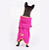 Roupão Carmel Pink Yellow - Allure Pets - Imagem 3
