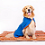 Roupão Carmel Blue Orange - Allure Pets - Imagem 4
