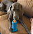 Kong Treatster Small - Imagem 3