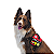 Peitoral para Cachorros Juno Personalizável Tam G - Dog Friends Forever - Imagem 3