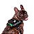 Peitoral para Cachorros Juno Personalizável Tam M - Dog Friends Forever - Imagem 9