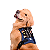 Peitoral para Cachorros Astro Personalizável Tam G - Dog Friends Forever - Imagem 8