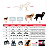 Peitoral para Cachorro Astro Coleção Hollywood Tam G - Dog Friends Forever - Imagem 10