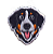 Patch Bernese - Imagem 1