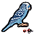 Patch Periquito Australiano - Imagem 1