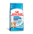 Ração Royal Canin Mini Indoor para Cães Filhotes - Puppy - Porte Pequeno 1kg - Imagem 1