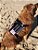 Escreva o Nome do Seu Pet até 8 Letras - Dog Friends Forever - Imagem 2