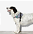 Peitoral Zeedog para Cachorros FlyHarness Urban Size 1 - Imagem 5