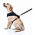 Peitoral e Guia Toh Neoprene Eclipse para Cães - Imagem 5