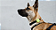 Capa para AirTag Lime - Imagem 4