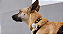 Capa para AirTag Jelly - Imagem 4
