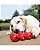 Kong Goodie Ribbon - Imagem 4