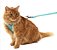 Peitoral e Guia Toh Neocomfy Maresia para Gatos - Imagem 1