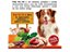 Alimento Natural Úmido para Cães Pote Pro Pet Frango - 535 g - Imagem 2