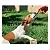 Petisco Spin Pet Onebyone Fit Stick Pera Mandioca e Ervilha - 50g - Imagem 3