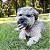 Brinquedo Kong Crunch Air Ball Dog Ball — cor amarelo e violeta - Imagem 3