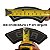 Kit emborrachados GIR - PPRS - Imagem 4