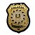 Distintivo Polícia Civil RS - (Aço resinado) - Imagem 1