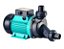BOMBA HIDROMASSAGEM LSPA 1300 1,5CV 220V - Imagem 2
