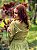 Vestido Magnus verde musgo - P - Imagem 4