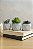 Kit 3 Vasos de Suculentas Artificiais em Cimento – Decoração Moderna e Prática - Imagem 1