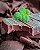 Ao Leite com Menta 30g - Imagem 1