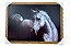 Quadro Decorativo Cavalo Branco 50x70cm Paisagem Pinturas - Imagem 1