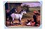 Quadro Decorativo Cavalos Na Fazenda Potros 50x70cm Paisagem - Imagem 1