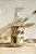 Água Perfumada Patchouli Vanilla Arabesc - 1Litro - Imagem 3