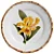 Conjunto Prato Sobremesa Orquidee Amarela - 4 unidades - Imagem 1