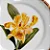 Conjunto Prato Sobremesa Orquidee Amarela - 4 unidades - Imagem 2