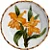 Conjunto Prato Raso Orquidee Laranja - 4 unidades - Imagem 1