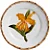 Conjunto Prato Sobremesa Orquidee Laranja - 4 unidades - Imagem 1