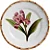 Conjunto Prato Sobremesa Orquidee Rosa - 4 unidades - Imagem 1