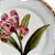 Conjunto Prato Sobremesa Orquidee Rosa - 4 unidades - Imagem 2