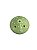 Cogumelo Floreira Shitake Verde Candy - Imagem 3